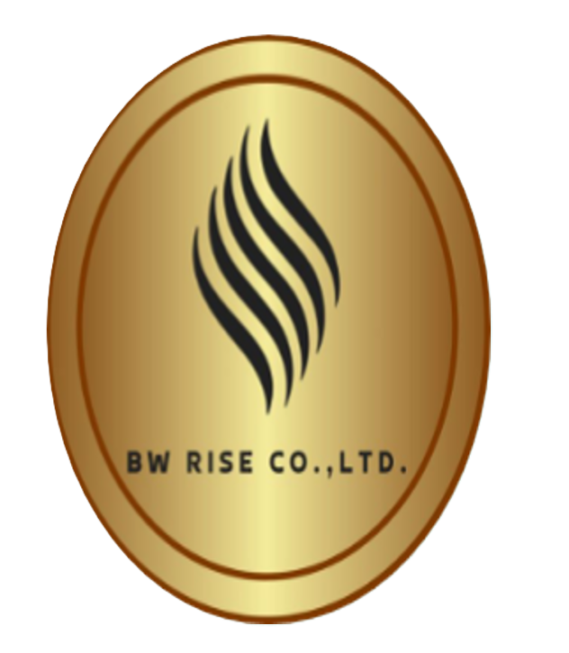 BW RISE Logo